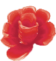 Example image of strong front petal