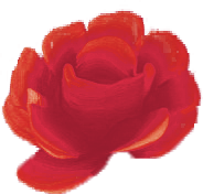 Example image of final rose